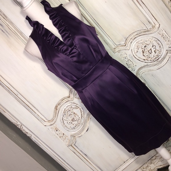 Just Taylor Gorgeous Purple Sleeveless Ruffle V Neck Waisted Party Dress Size 12 - Picture 2 of 10
